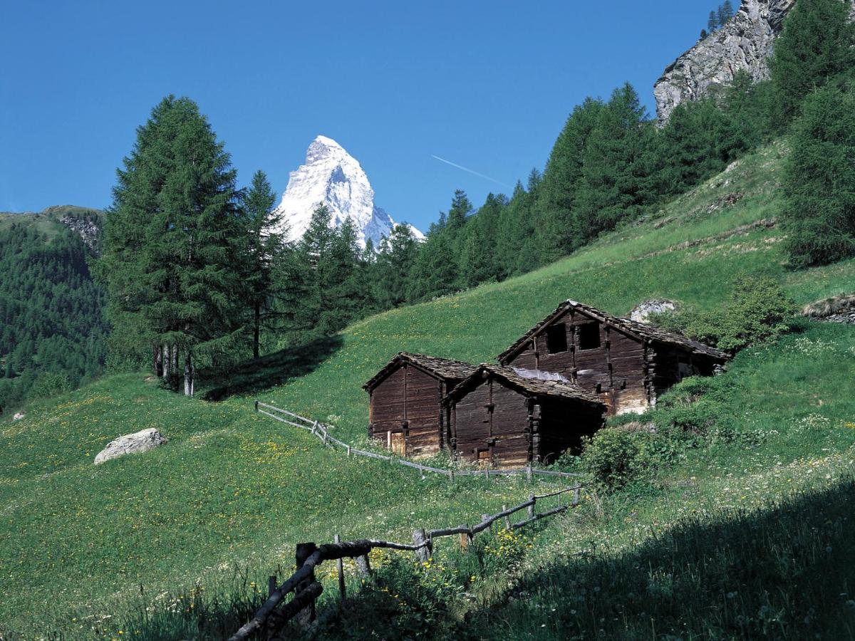 Apartment Chalet Dossen Zermatt Exteriér fotografie